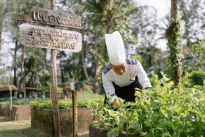 SOHA Retreats | Mind & Body Realignment Retreat in Thailand SOHA Retreats | Mind & Body Realignment Retreat in Thailand